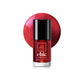 Chic Nail Polish - 66 Colors